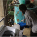 Chalk to clothes, Randy’s laundry business