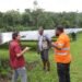 Makira’s New Solar Farm to Start Soon