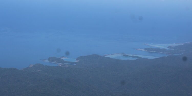 A letter from a fisherman to Japan