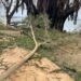 ADB Provides $1 Million for Vanuatu Cyclone Relief