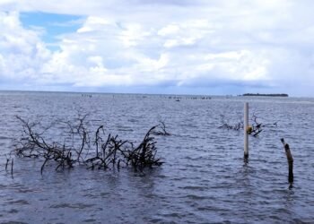 Fighting against the wave: The Restless Seas of Walande