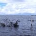 Fighting against the wave: The Restless Seas of Walande