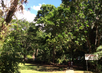 Solomon Islands Net Zero in greenhouse gas