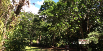 Solomon Islands Net Zero in greenhouse gas