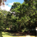 Solomon Islands Net Zero in greenhouse gas