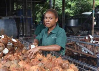 Coconut and kava markets to receive boost through Pacific based business-friendly initiative