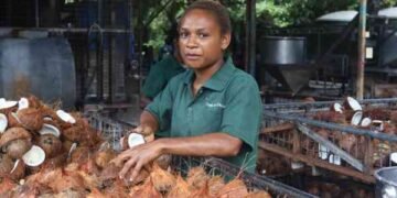 Coconut and kava markets to receive boost through Pacific based business-friendly initiative