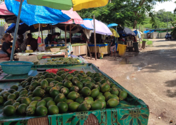 Oz employer raises concern over betel-nut habit