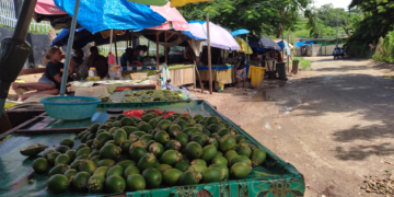 Oz employer raises concern over betel-nut habit