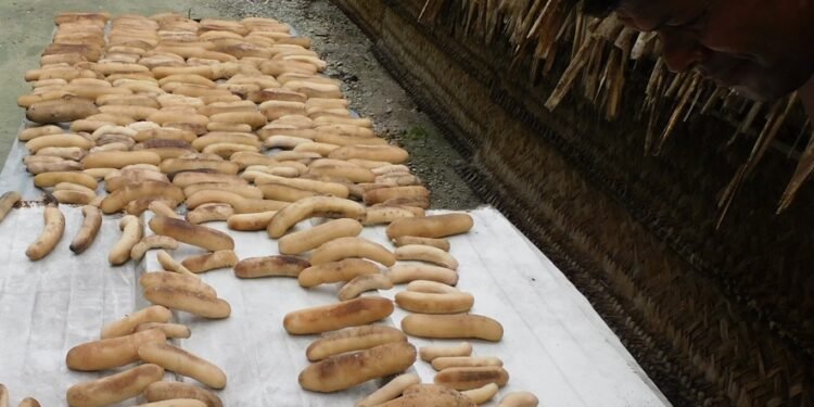 Transparency Solomon Islands calls on police to investigate illegal harvesting of bech-de-mer in Malaita Outer Islands