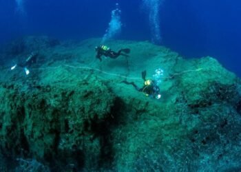 Historic agreement adopted for conservation and sustainable use of biodiversity in over two-thirds of the ocean