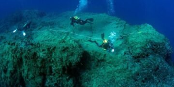 Historic agreement adopted for conservation and sustainable use of biodiversity in over two-thirds of the ocean