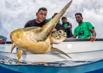 WWF-Pacific Office Launches Ambitious 2025 Strategic Plan to Address Climate Change and Biodiversity Loss