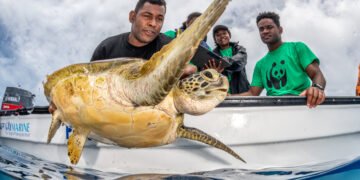 WWF-Pacific Office Launches Ambitious 2025 Strategic Plan to Address Climate Change and Biodiversity Loss