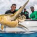 WWF-Pacific Office Launches Ambitious 2025 Strategic Plan to Address Climate Change and Biodiversity Loss
