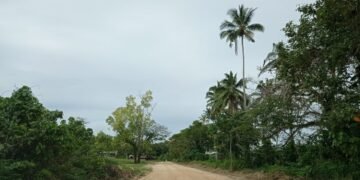 Work on North Malaita road starts