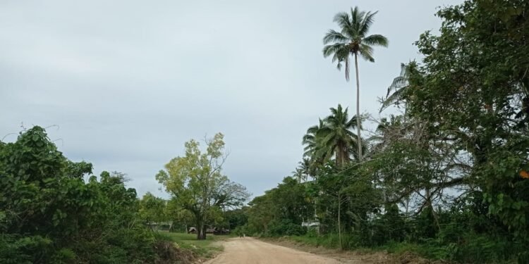 Work on North Malaita road starts