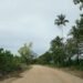 Work on North Malaita road starts