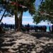 World Bank Report Highlights Migration Schemes