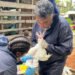 Dr-Sripad-Sosale-treats-a-chicken-from-the-avian-disease-outbreak-area-of-Solomon-Islands