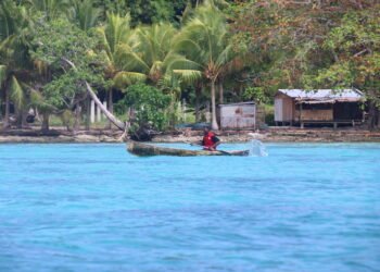 Pacific Island economies rebounding