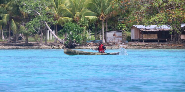 Pacific Island economies rebounding