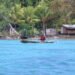 Pacific Island economies rebounding