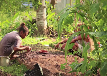 Crops Lead Household Income Sources