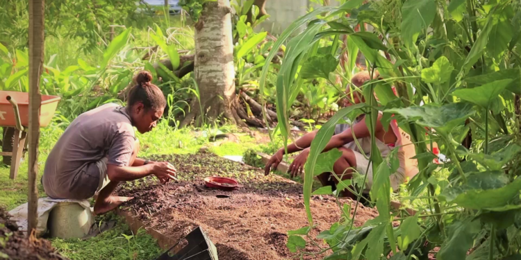 Crops Lead Household Income Sources