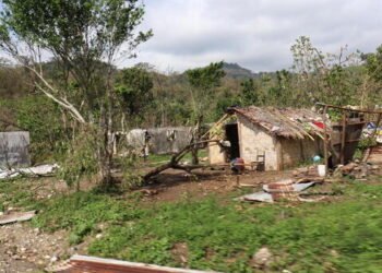 UNICEF concern for children's welfare