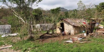 UNICEF concern for children's welfare