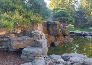 Earth's precious species on the brink of extinction