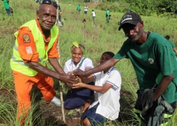Solomon Islands Forest Day Celebrations