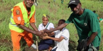 Solomon Islands Forest Day Celebrations