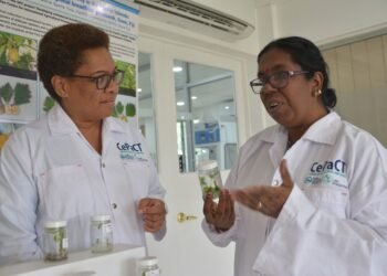 International Women’s Day: Invest to progress