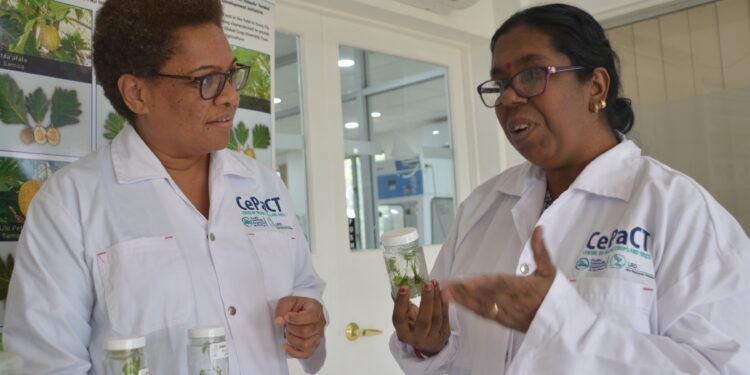 International Women’s Day: Invest to progress