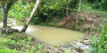 Water Supply Disruptions in Honiara Due to Turbidity