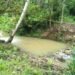 Water Supply Disruptions in Honiara Due to Turbidity