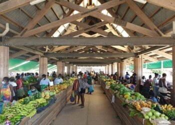 Gizo Market Manager advocates for more women representation in parliament and call for Support as 20 Women Contest 2024 National Election