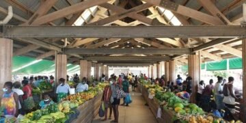 Gizo Market Manager advocates for more women representation in parliament and call for Support as 20 Women Contest 2024 National Election