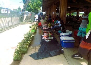 Gizo Voters Urged to Choose Leaders with Integrity and Vision