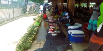 Gizo Voters Urged to Choose Leaders with Integrity and Vision