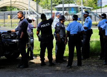 Commissioner Mostyn Mangau Urges Respect for Electoral Procedures Amidst Peaceful Voting Atmosphere