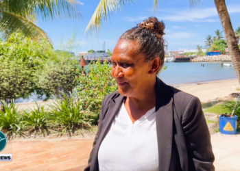 Cathy Nori Deputy Chairlady of Government Caucus