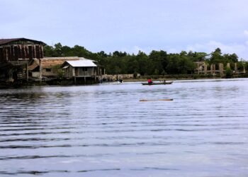 WOLF IN A SHEEP’S SKIN