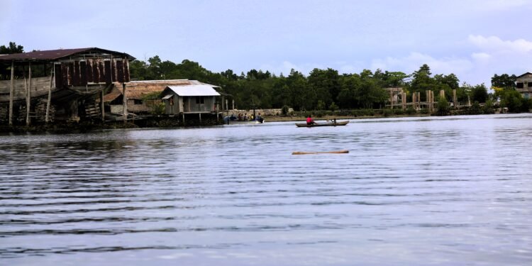 WOLF IN A SHEEP’S SKIN