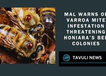 MAL Alerts Bee Farmers to Varroa Mite Infestation in Honiara