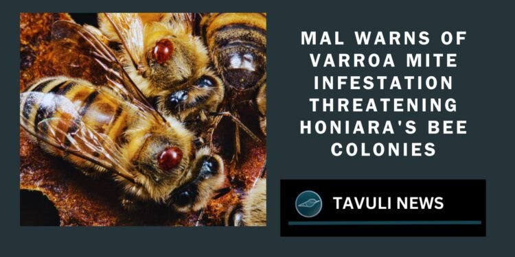 MAL Alerts Bee Farmers to Varroa Mite Infestation in Honiara