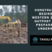 Western Border Outpost Construction Starts