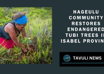 Hageulu Community Restores Endangered Tubi Trees in Isabel Province